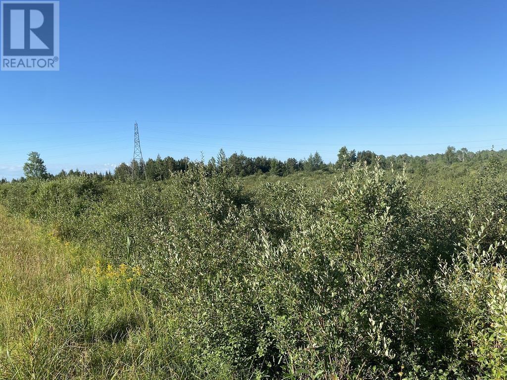 For sale Lt 7 C2 Clute Township, Cochrane, Ontario P0L1C0 TM221863