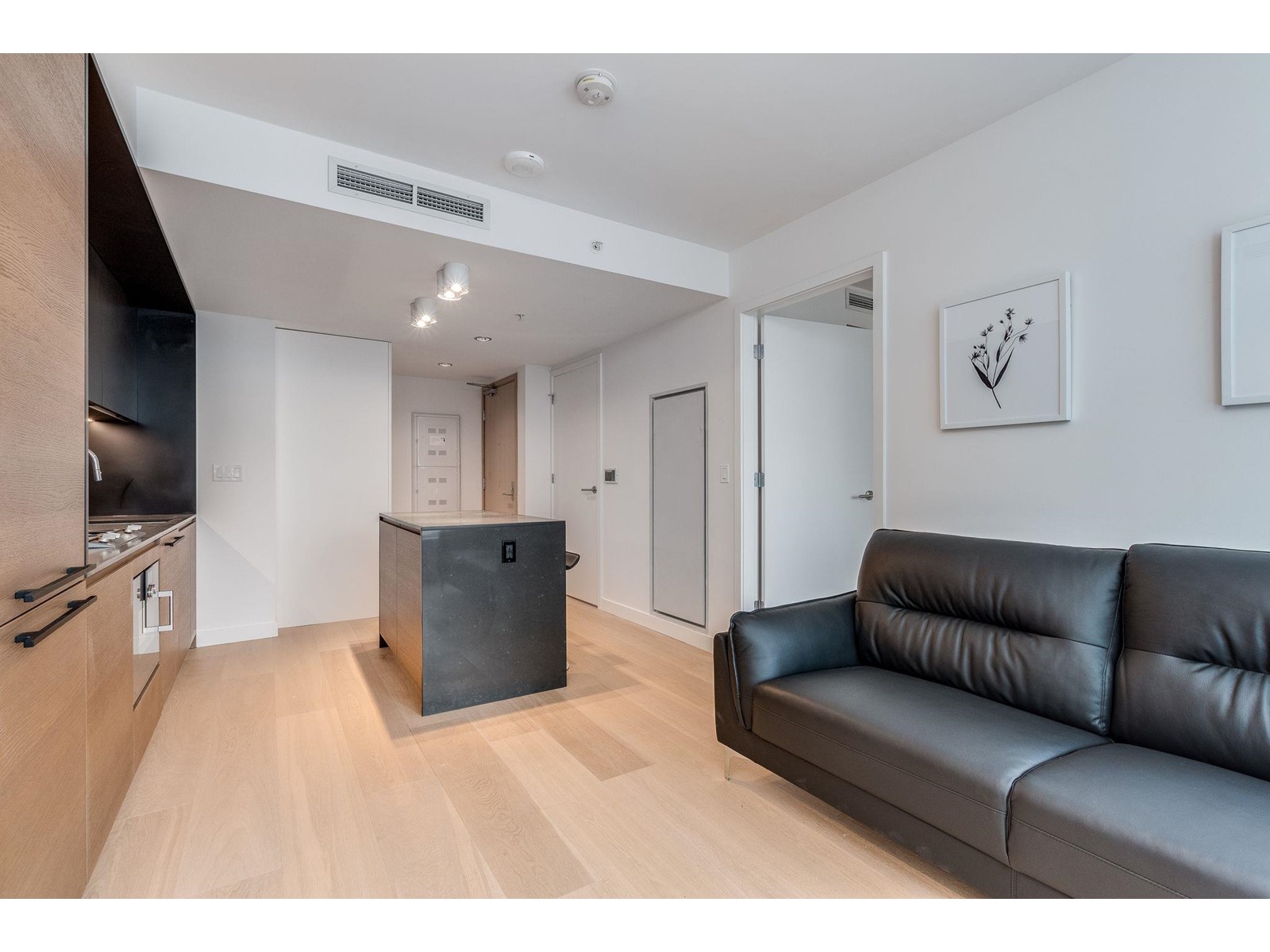 For rent 1102 1289 HORNBY STREET, Vancouver, British Columbia V6Z1W4 R2774277 REALTOR.ca