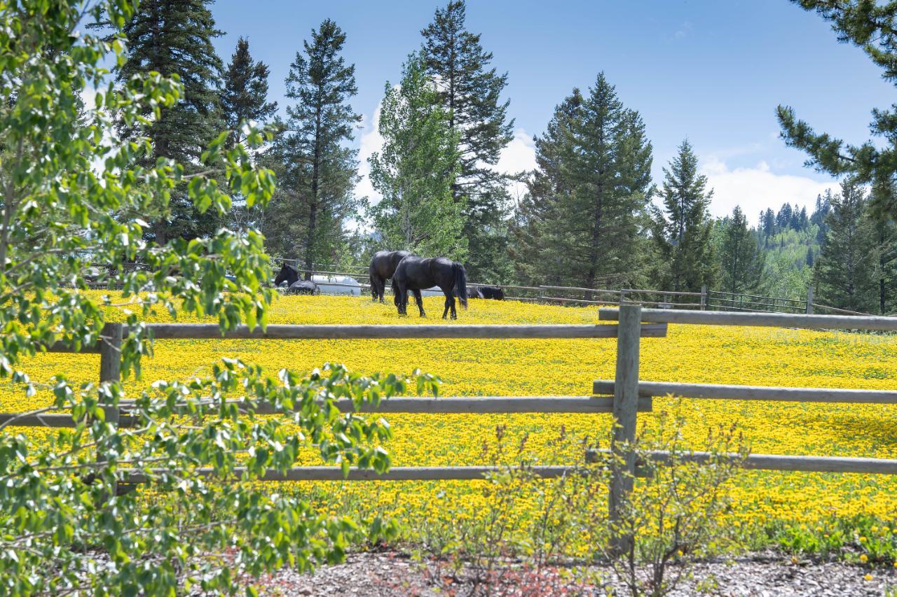 For sale 3054 HOULGRAVE RD, Invermere Rural, British Columbia V0A1K5