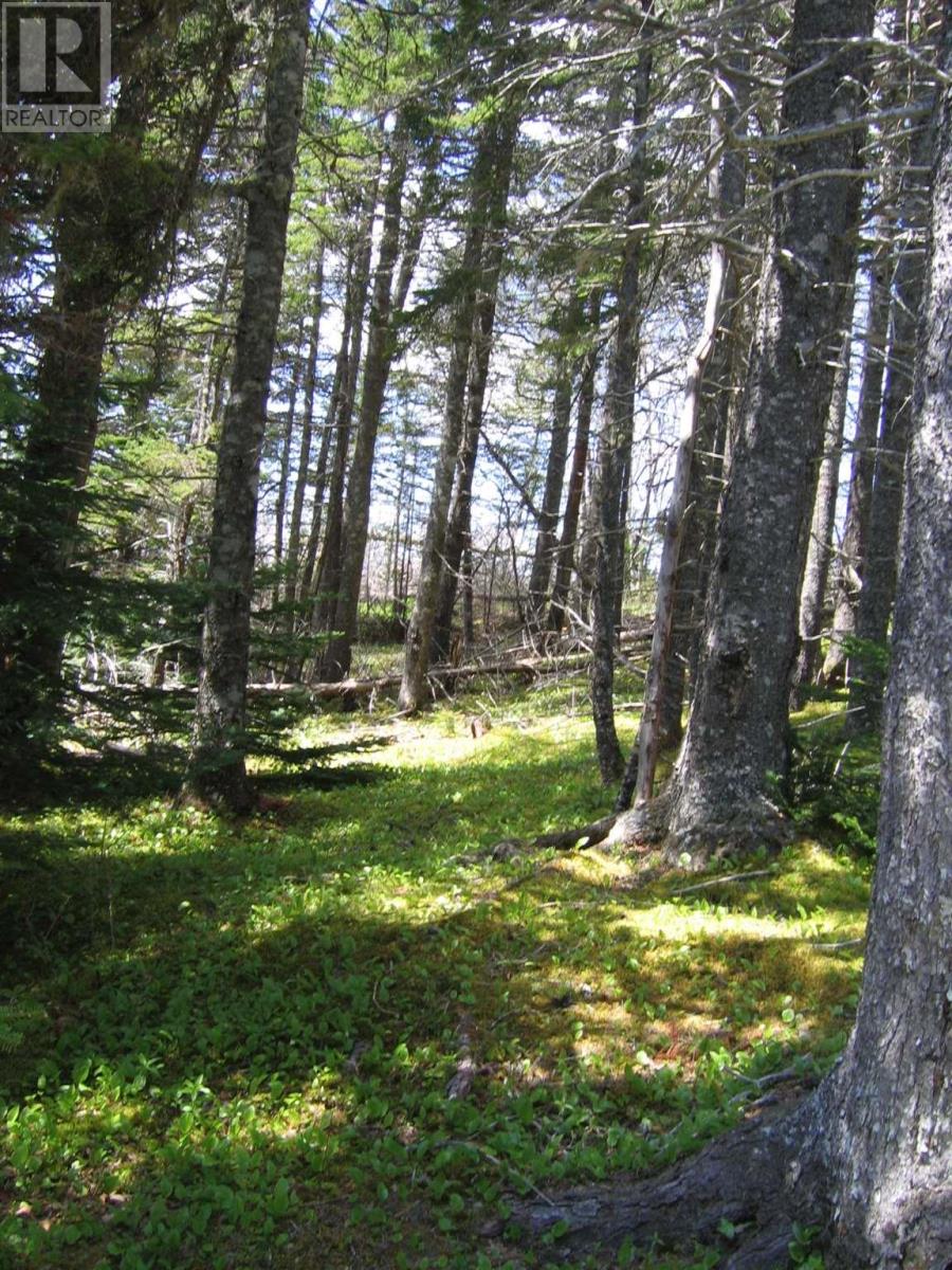 For sale East Bay Highway, Big Pond, Nova Scotia B1J1M8 202308276