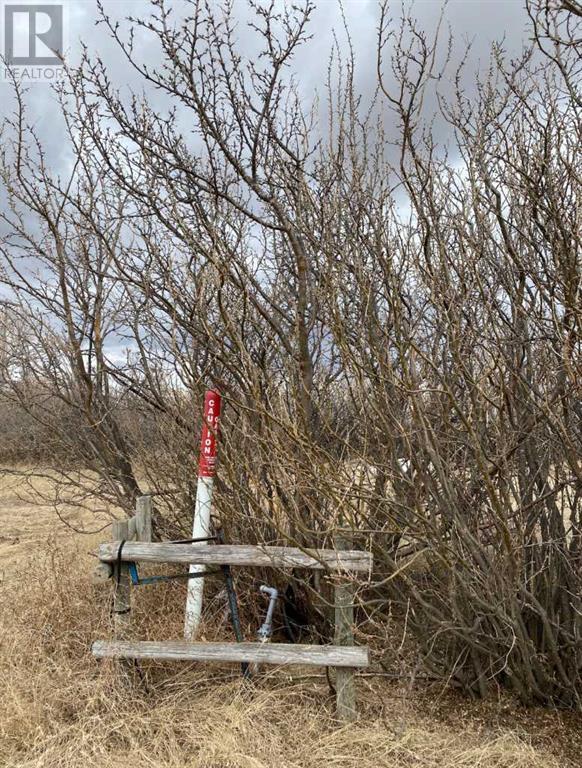 For sale 14043 TWP RD 393, Rural Provost No. 52, M.D. of, Alberta T0B1X0 A2041620 REALTOR.ca