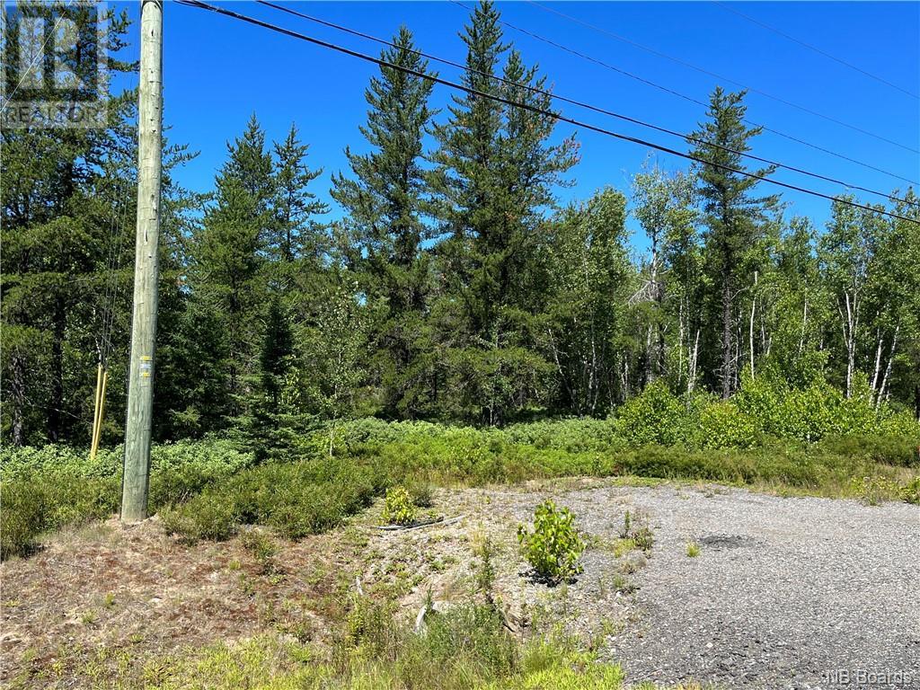 For sale +/ 6.5 acres Rte 126, Collette, New Brunswick E4Y2T4