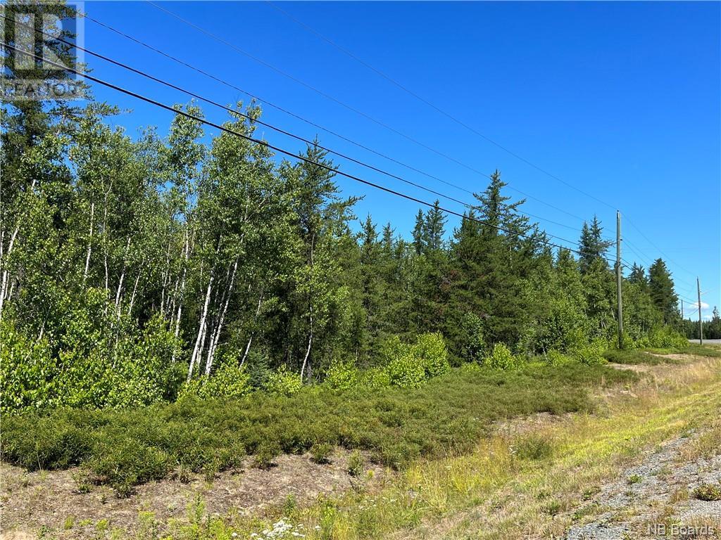 For sale +/ 6.5 acres Rte 126, Collette, New Brunswick E4Y2T4