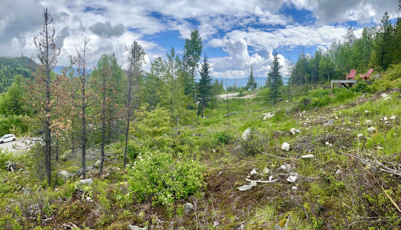 For sale Lot A RICHIE ROAD, Rossland, British Columbia V0G1Y0
