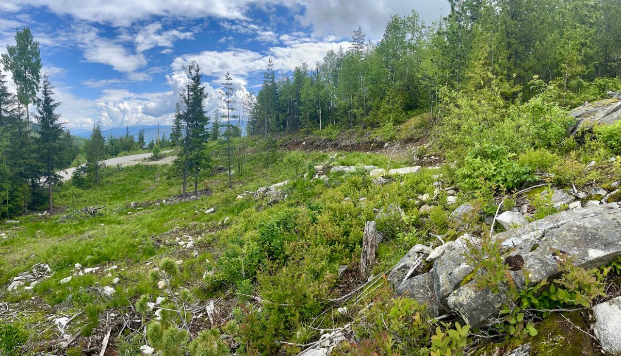 For sale Lot A RICHIE ROAD, Rossland, British Columbia V0G1Y0