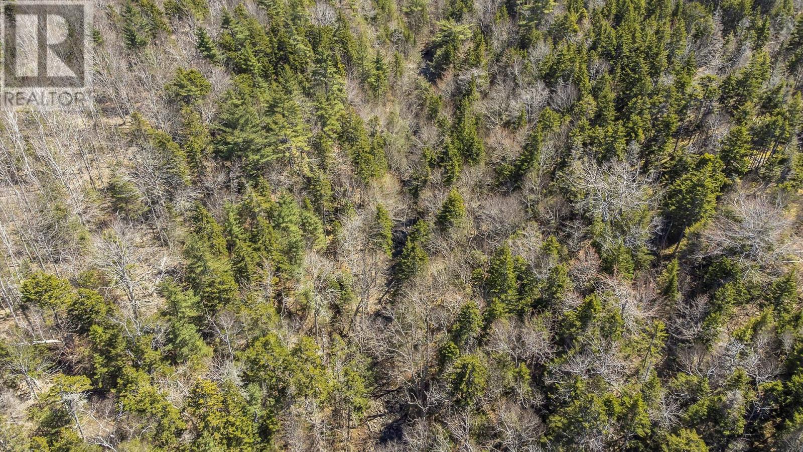 For sale Lot Shore Road West, Youngs Cove, Nova Scotia B0S1L0