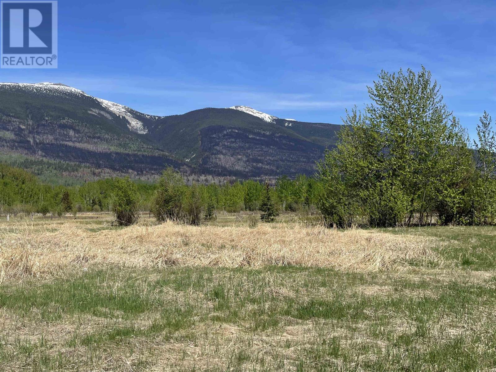 For sale 210 HORSESHOE LAKE ROAD, McBride, British Columbia V0J2E0