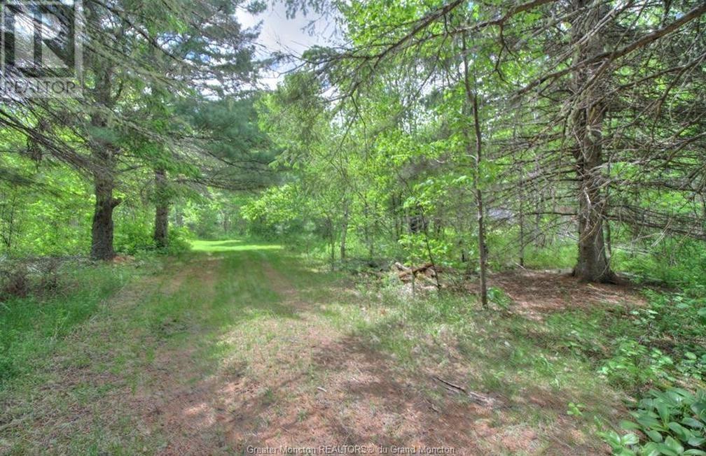For sale Lot Route 490, Fords Mills, New Brunswick E4W3R9 M152708