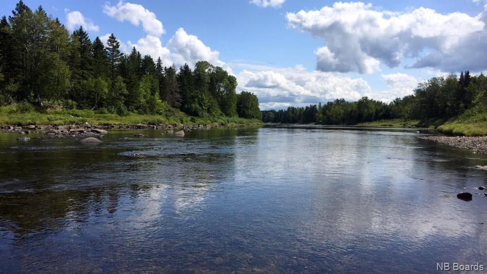 For sale +/ 40 acres Pineville Road, Bell Pool, Renous, New Brunswick