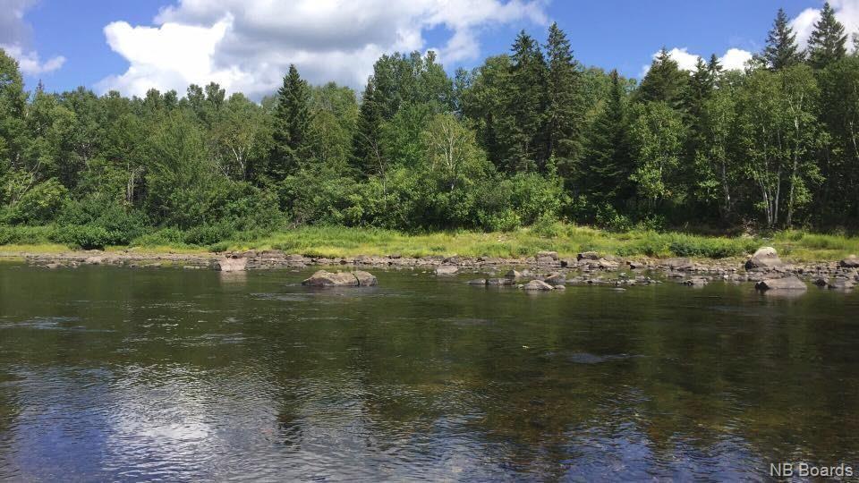 For sale +/ 40 acres Pineville Road, Bell Pool, Renous, New Brunswick