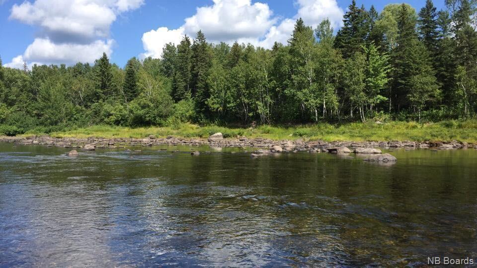 For sale +/ 40 acres Pineville Road, Bell Pool, Renous, New Brunswick