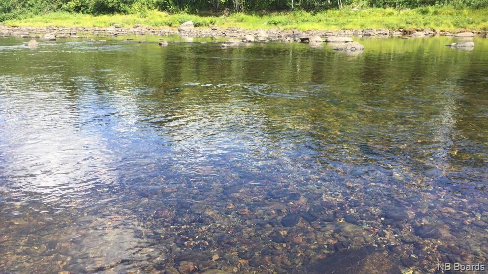 For sale +/ 40 acres Pineville Road, Bell Pool, Renous, New Brunswick