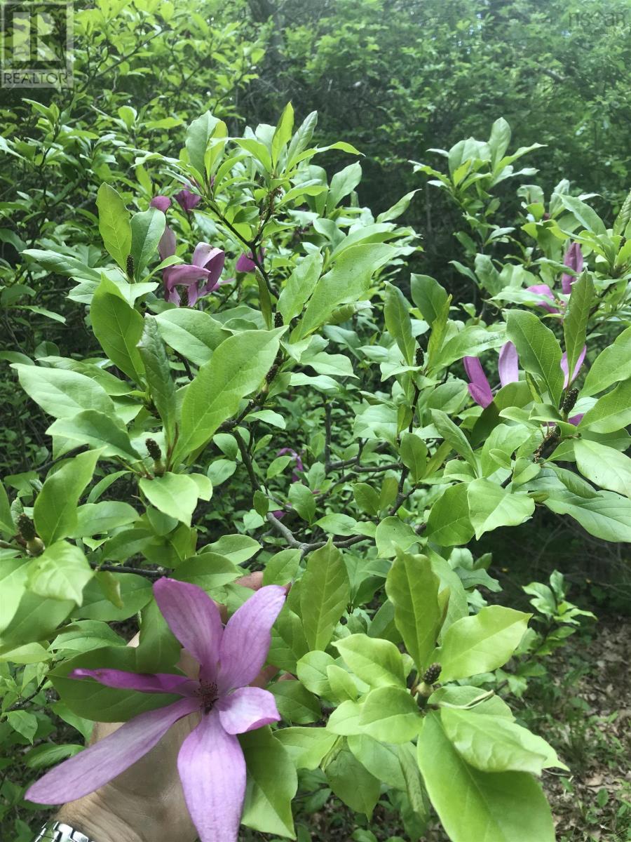 For sale Lot 1 13 Cottage Lane, Windsor Junction, Nova Scotia B2T1G7