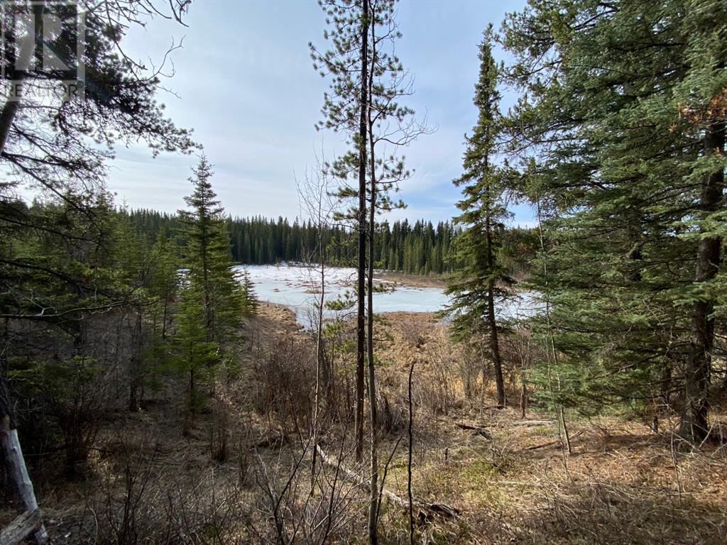 For sale 5235228 SW, Rural Yellowhead County, Alberta T7V1A0