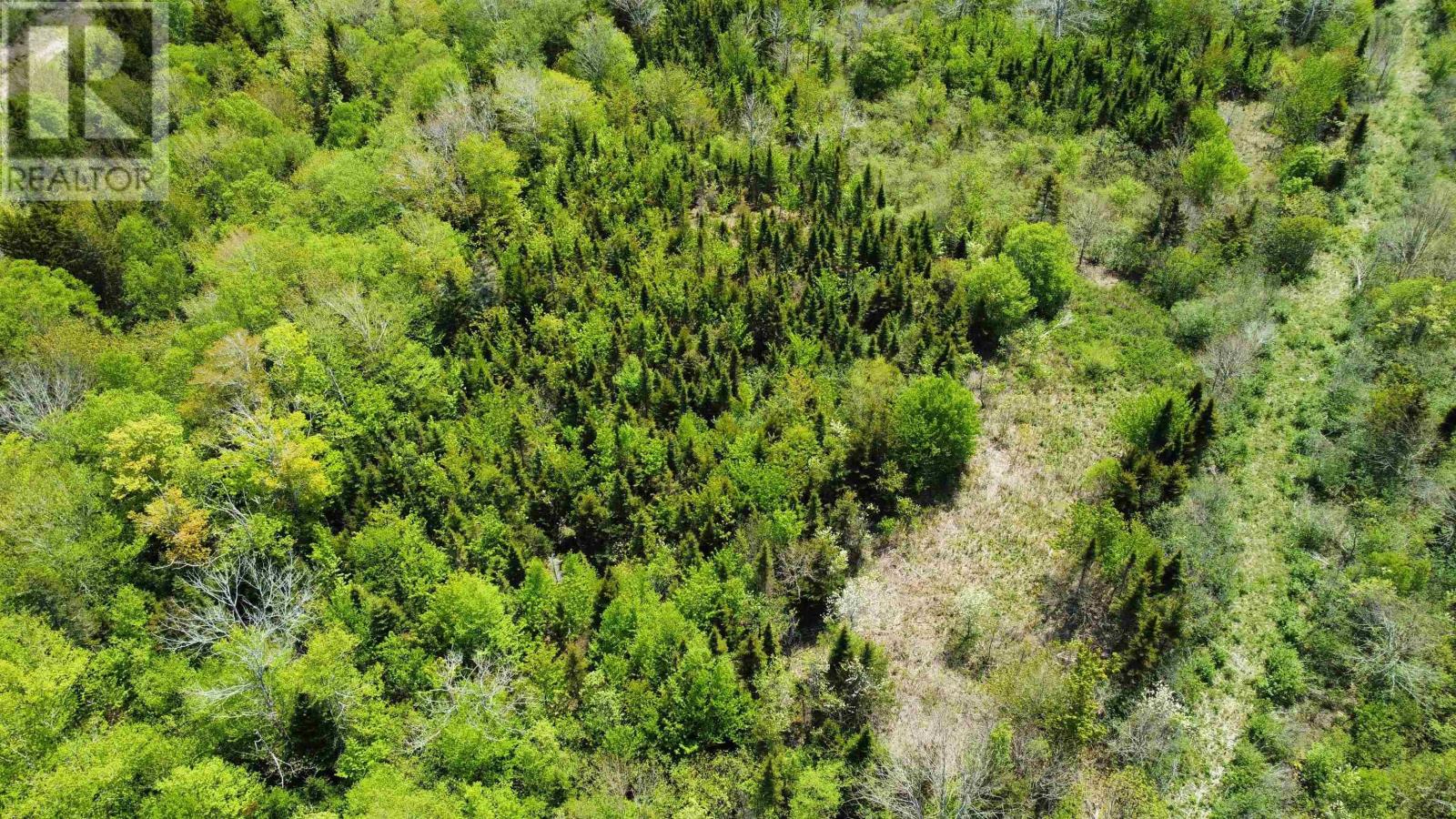 For sale Lot No 217 Highway, Digby Neck, Nova Scotia B0V1A0