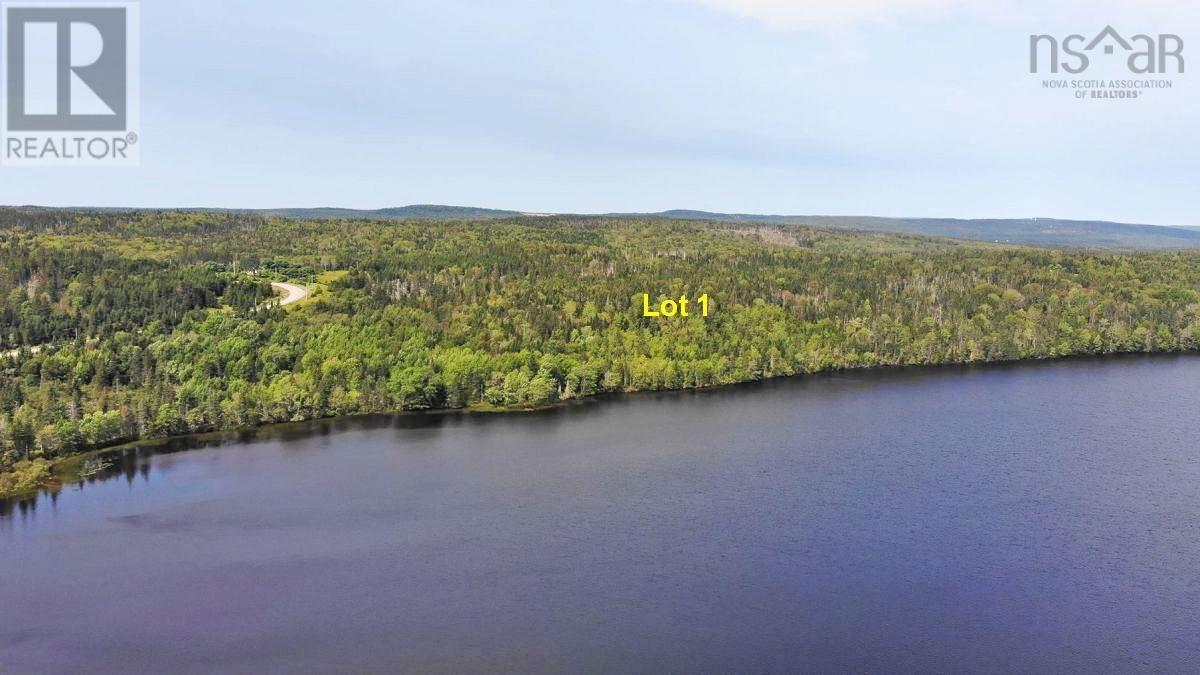 For sale Lot 1 Beechmont Road, Gillis Lake, Nova Scotia B2A4J2