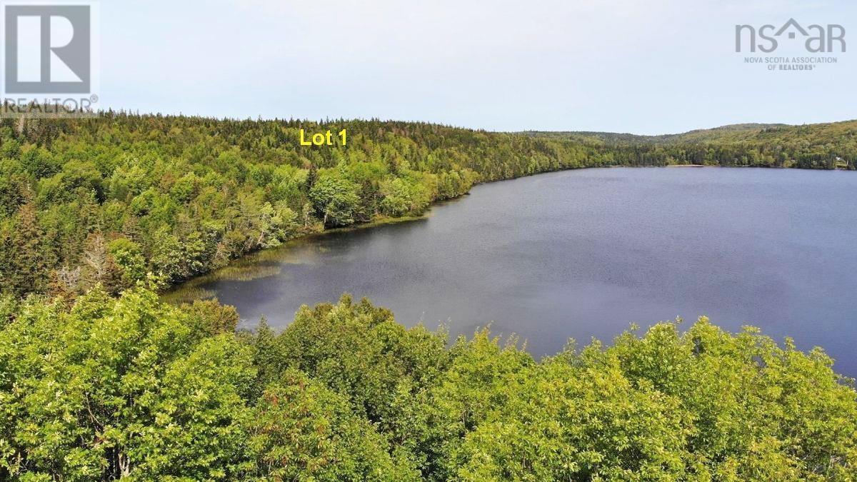 For sale Lot 1 Beechmont Road, Gillis Lake, Nova Scotia B2A4J2