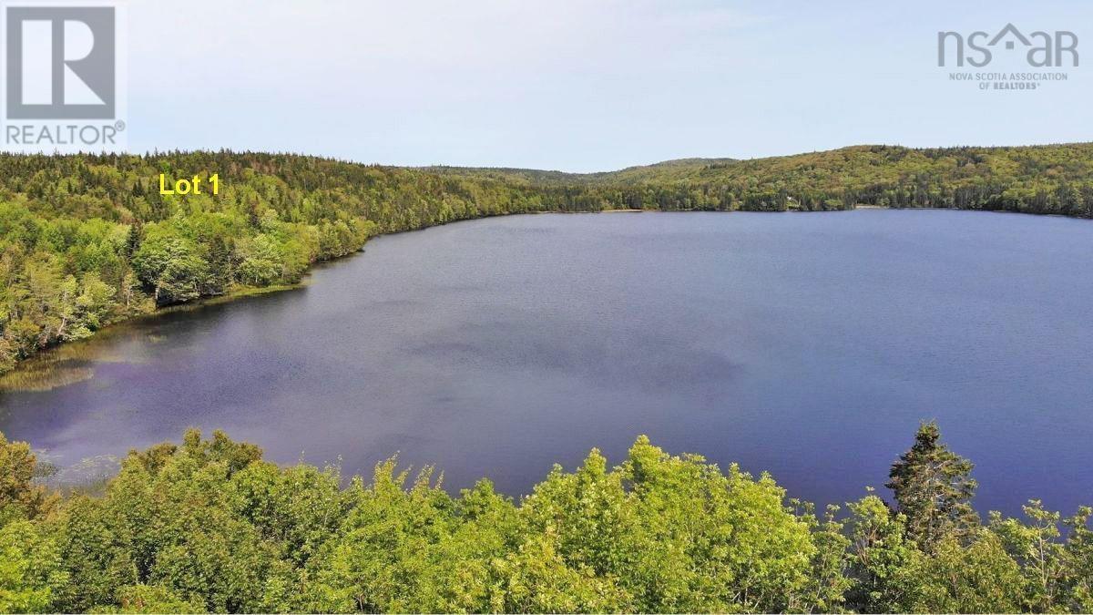 For sale Lot 1 Beechmont Road, Gillis Lake, Nova Scotia B2A4J2