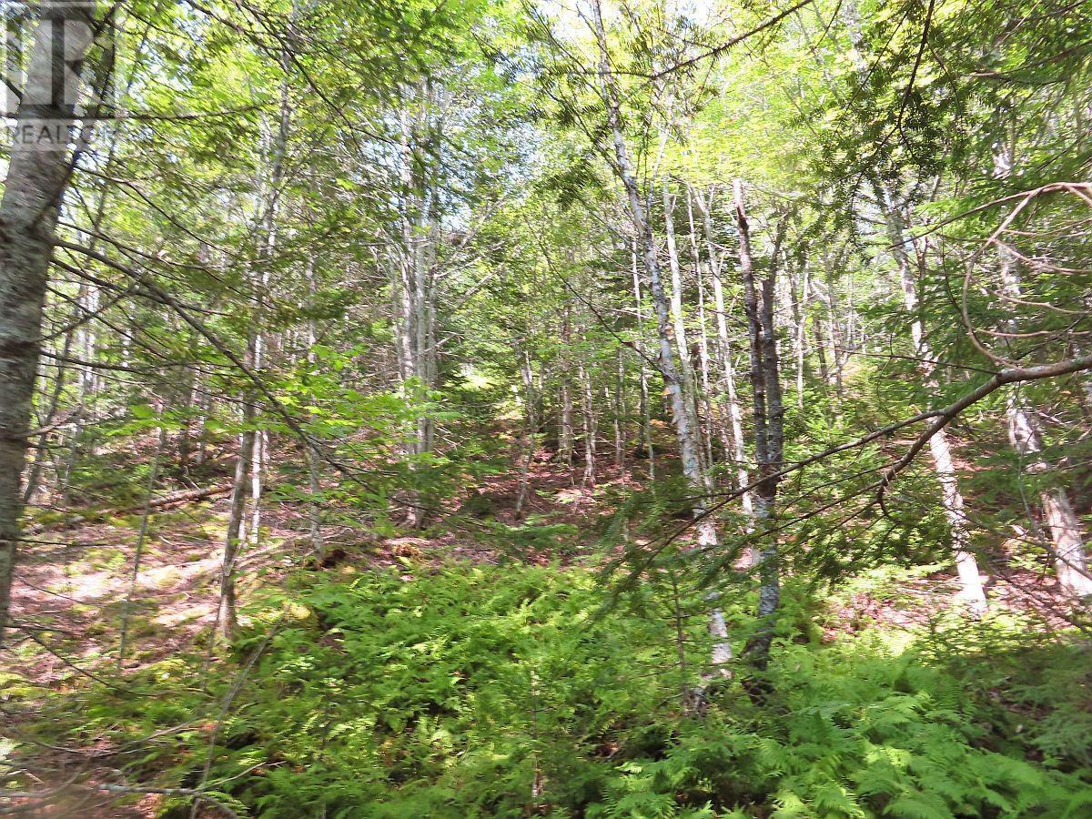 For sale Lot 1 Beechmont Road, Gillis Lake, Nova Scotia B2A4J2