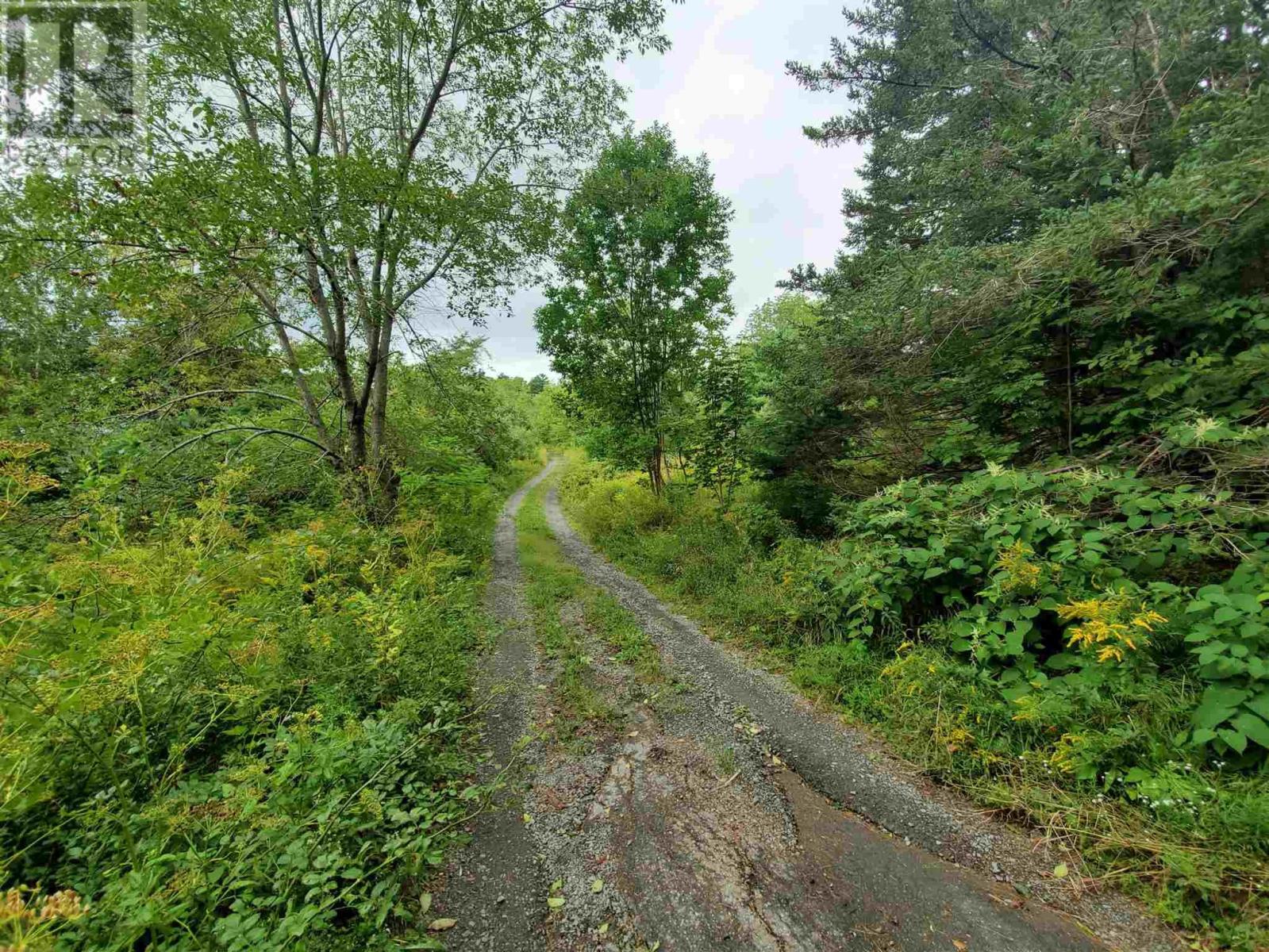 For sale Lot Highway 3, Rhodes Corner, Nova Scotia B4V5N8 202307126