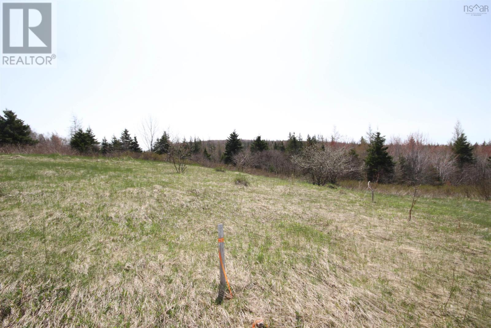 For sale Lot 1 River Denys Mountain Road, Rear Judique, Nova Scotia