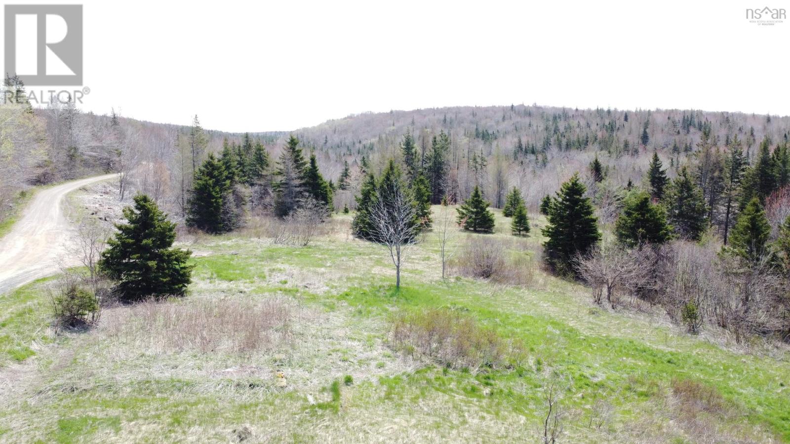 For sale Lot 1 River Denys Mountain Road, Rear Judique, Nova Scotia B0E1P0 202310676 REALTOR.ca