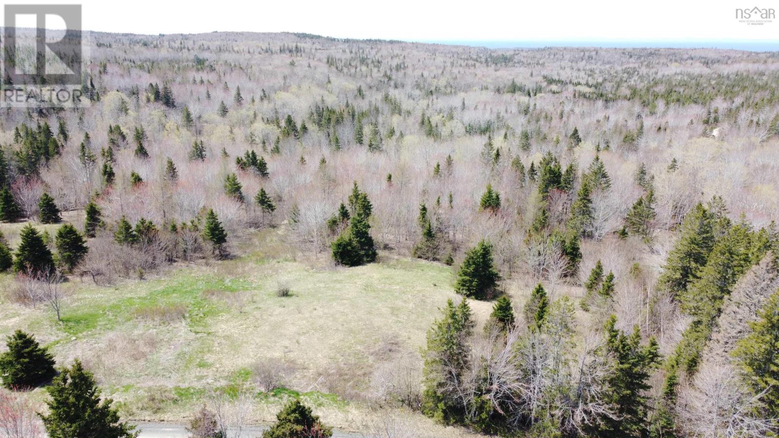 For sale Lot 1 River Denys Mountain Road, Rear Judique, Nova Scotia B0E1P0 202310676 REALTOR.ca