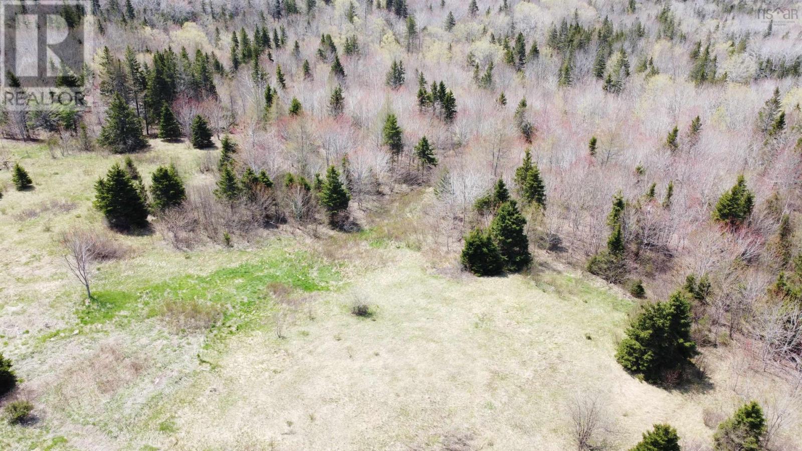 For sale Lot 1 River Denys Mountain Road, Rear Judique, Nova Scotia B0E1P0 202310676 REALTOR.ca