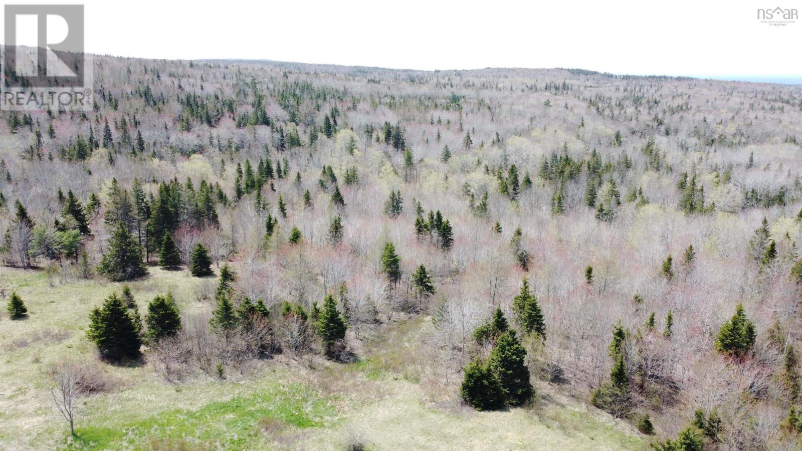 For sale Lot 1 River Denys Mountain Road, Rear Judique, Nova Scotia B0E1P0 202310676 REALTOR.ca