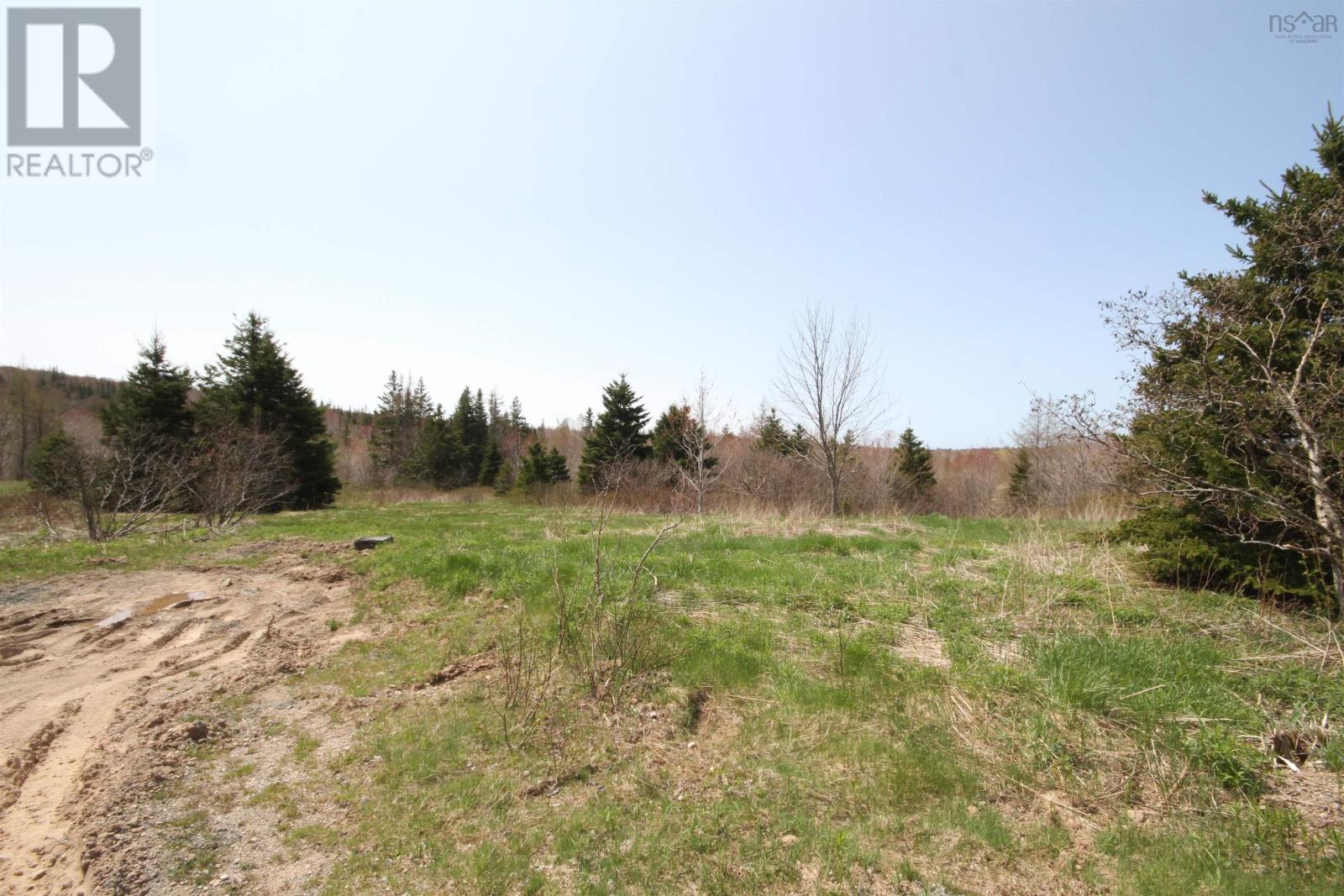 For sale Lot 1 River Denys Mountain Road, Rear Judique, Nova Scotia B0E1P0 202310676 REALTOR.ca