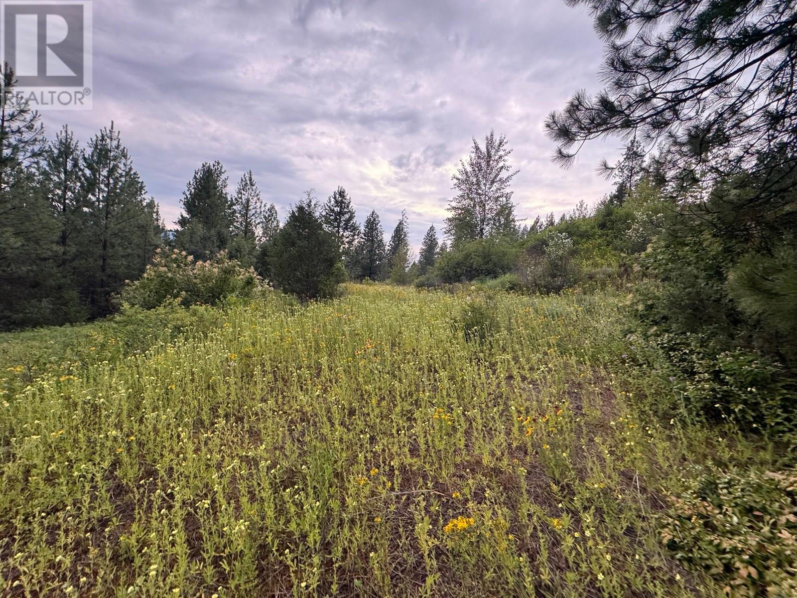 For sale 40 Acres Shuswap River Drive, Lumby, British Columbia V0E2G6 10268876 REALTOR.ca