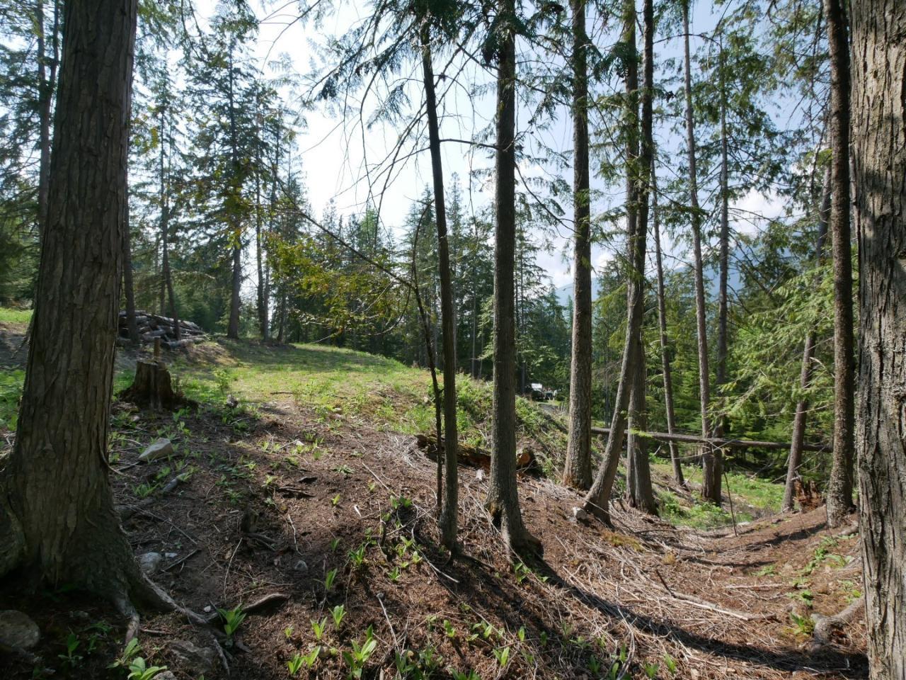 For sale 8315 CHANTON ROAD, Procter, British Columbia V0G1V0 2471252