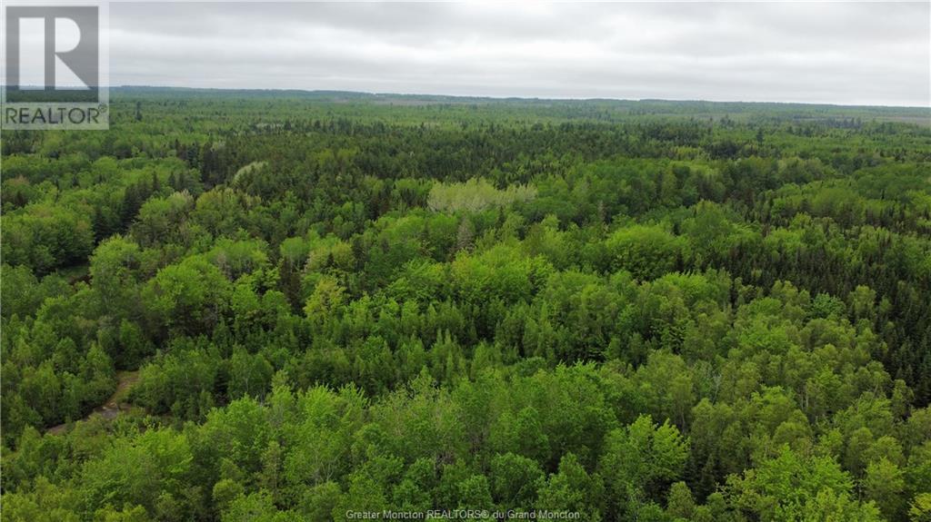 For sale Lot 1 Shediac River RD, SaintPhilippe, New Brunswick E1H1R8