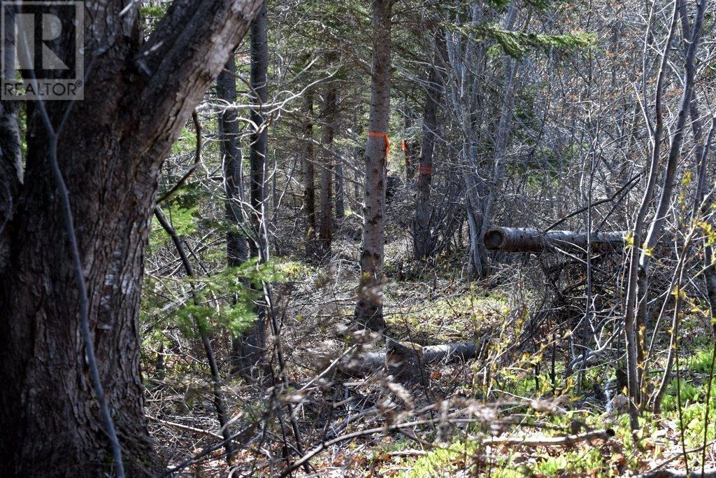 For sale 6885 Hwy395, Southwest Margaree, Nova Scotia B0E3H0