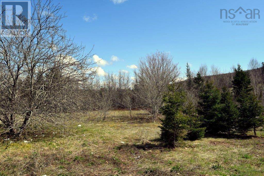 For sale 6885 Hwy395, Southwest Margaree, Nova Scotia B0E3H0