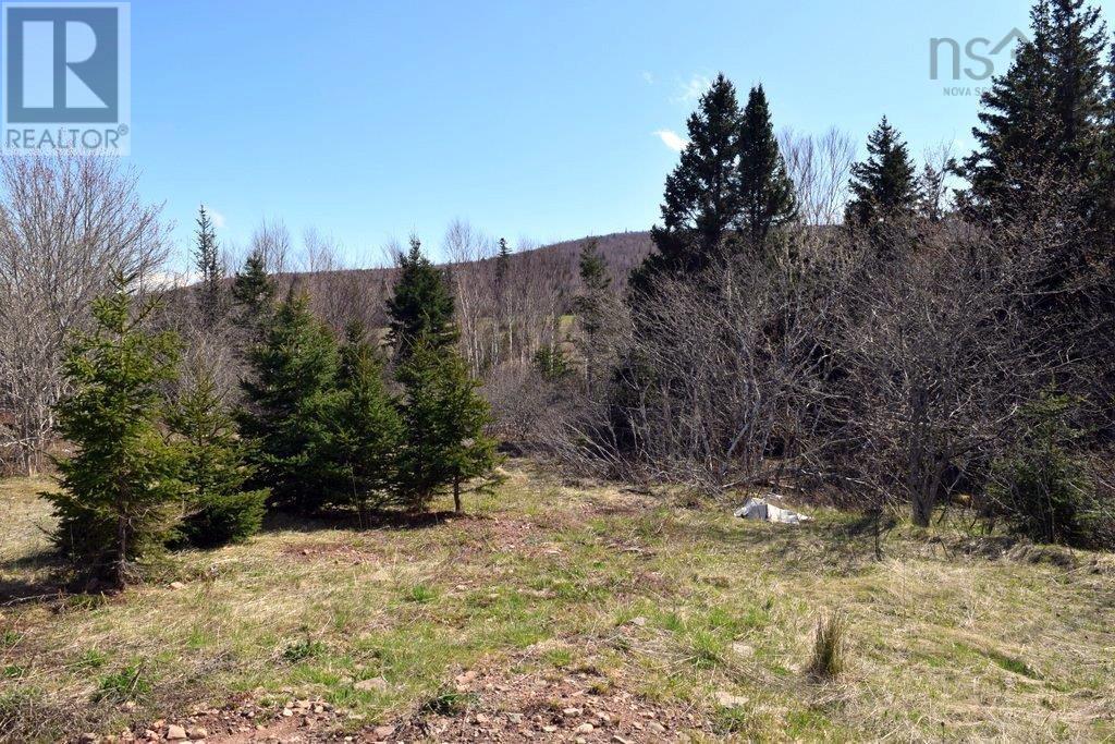 For sale 6885 Hwy395, Southwest Margaree, Nova Scotia B0E3H0