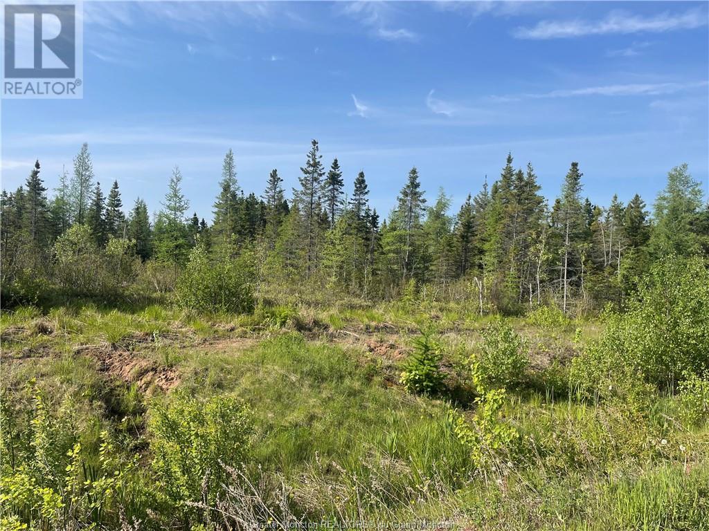 For sale Lot 169 Greater Lakeburn, Greater Lakeburn, New Brunswick E1H0K7 M150599 REALTOR.ca