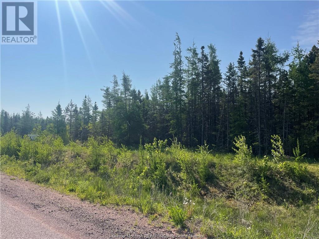 For sale Lot 169 Greater Lakeburn, Greater Lakeburn, New Brunswick E1H0K7 M150599 REALTOR.ca