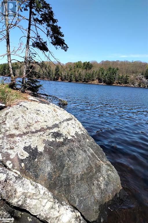 For sale 0 HIGHWAY 124, McDougall, Ontario P2A2W7 40435803 REALTOR.ca