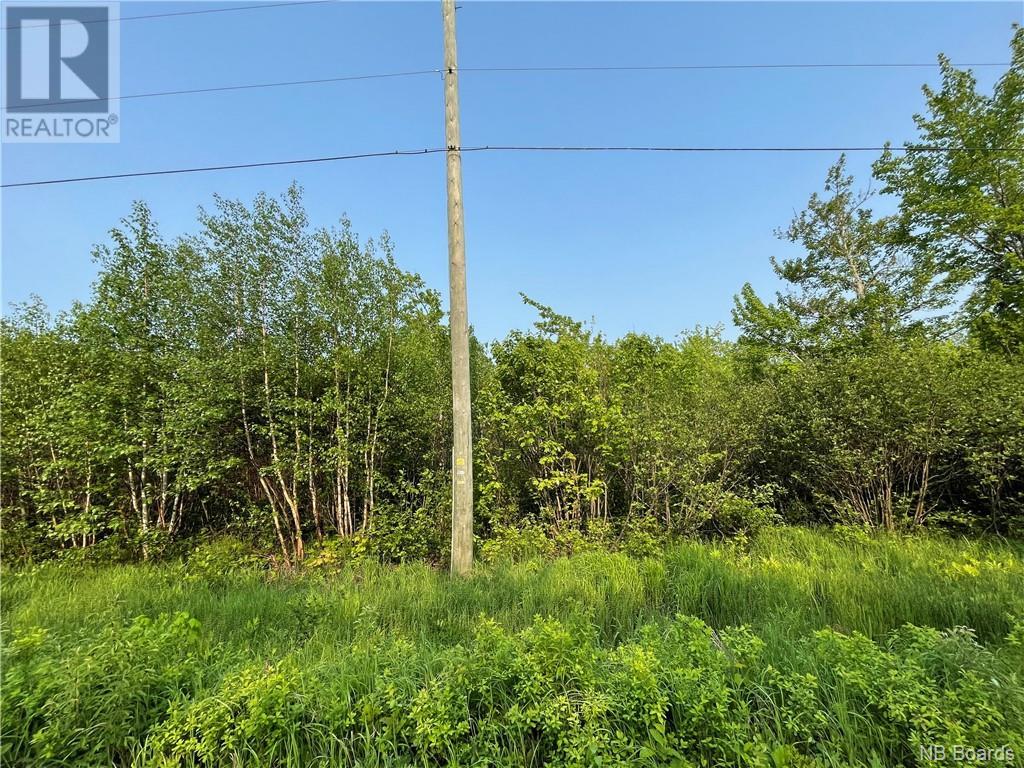 For sale WELDFIELDCOLLETTE Road, Napan, New Brunswick E1N0E9