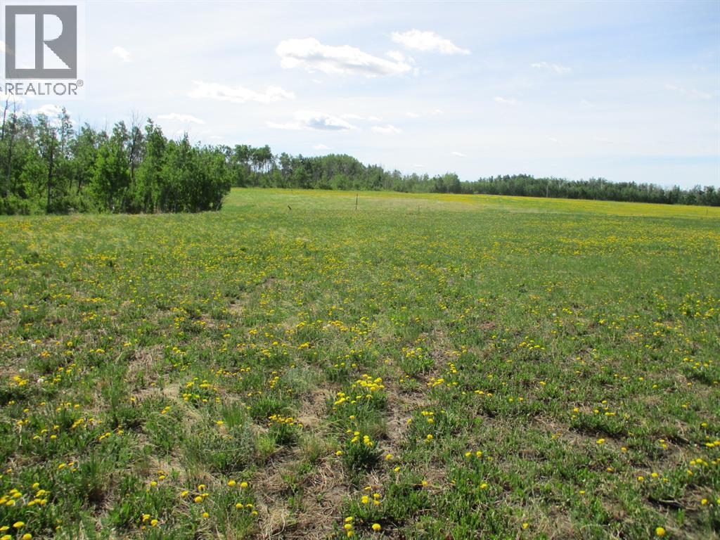 For Sale 15231004 Twp Rd 920 Rural Northern Lights County Of Alberta T0H2M0 A1115652 
