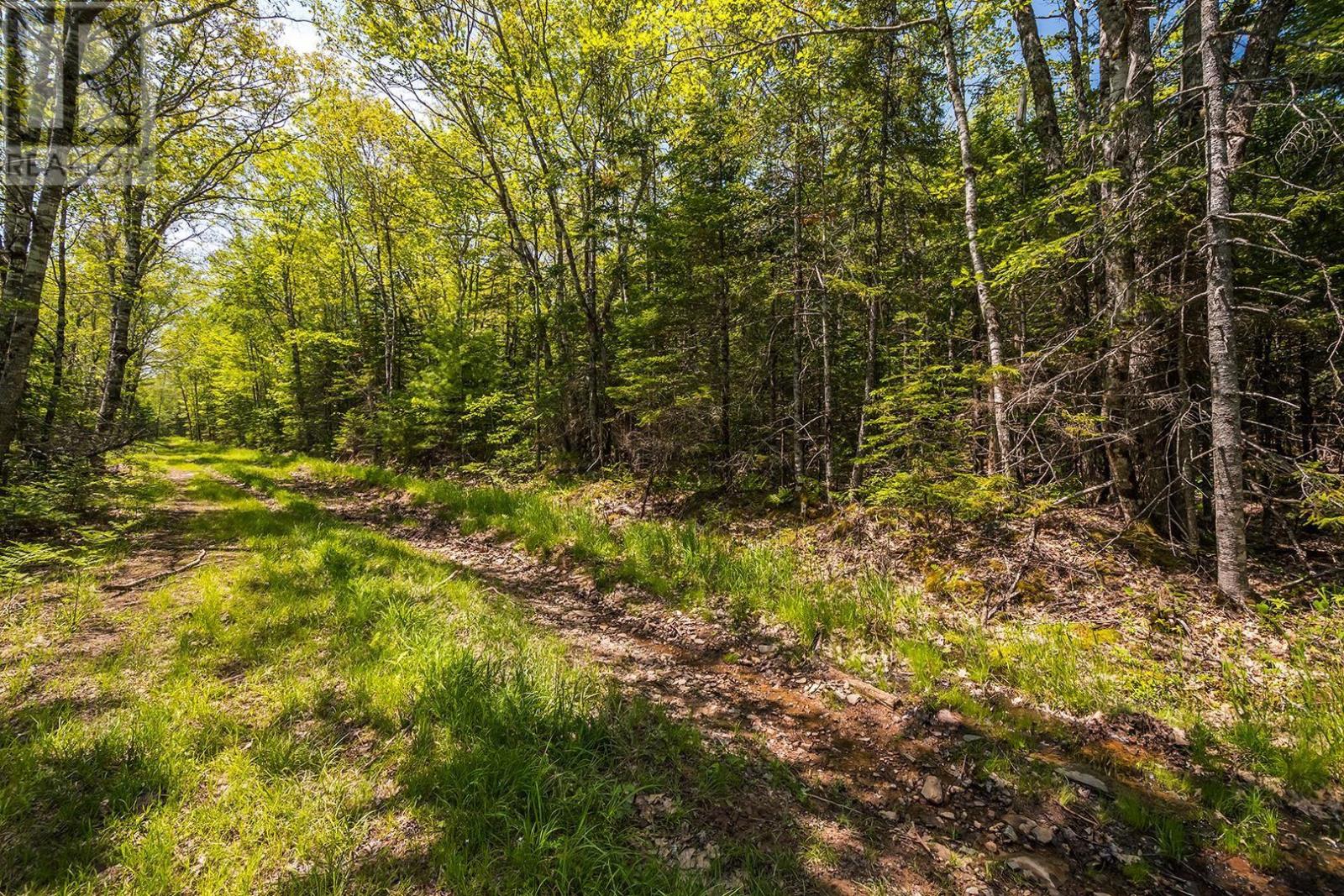 For sale Lot Old Post Road, Enfield, Nova Scotia B2T1E2 202312090