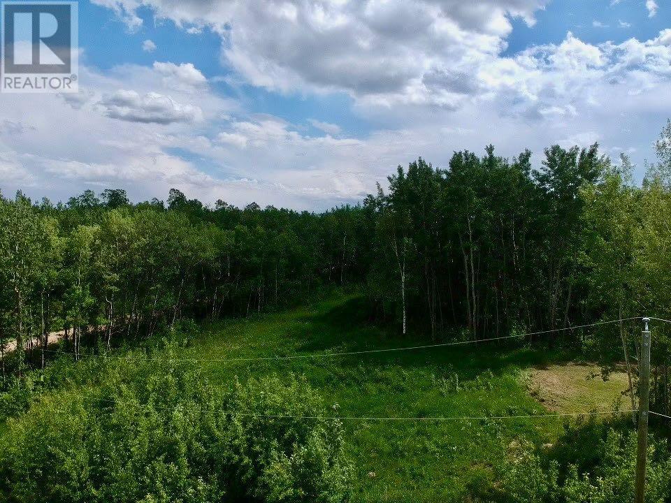 For sale 62, 50226 Range Road 204, Rural Beaver County, Alberta T0B4A0