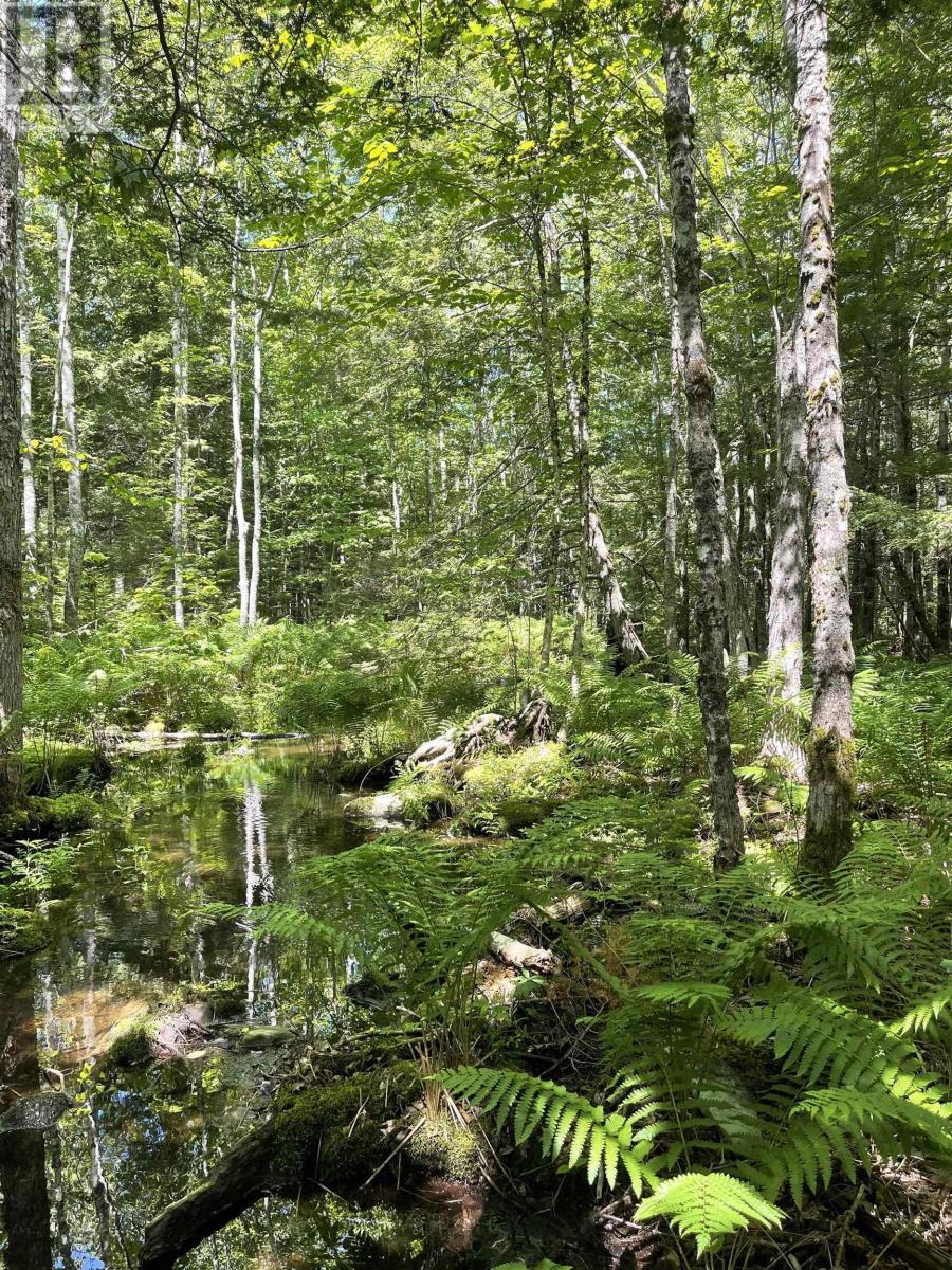For sale Molega Lake Road, Molega Lake, Molega Lake, Nova Scotia B4V7N5 202312588 REALTOR.ca