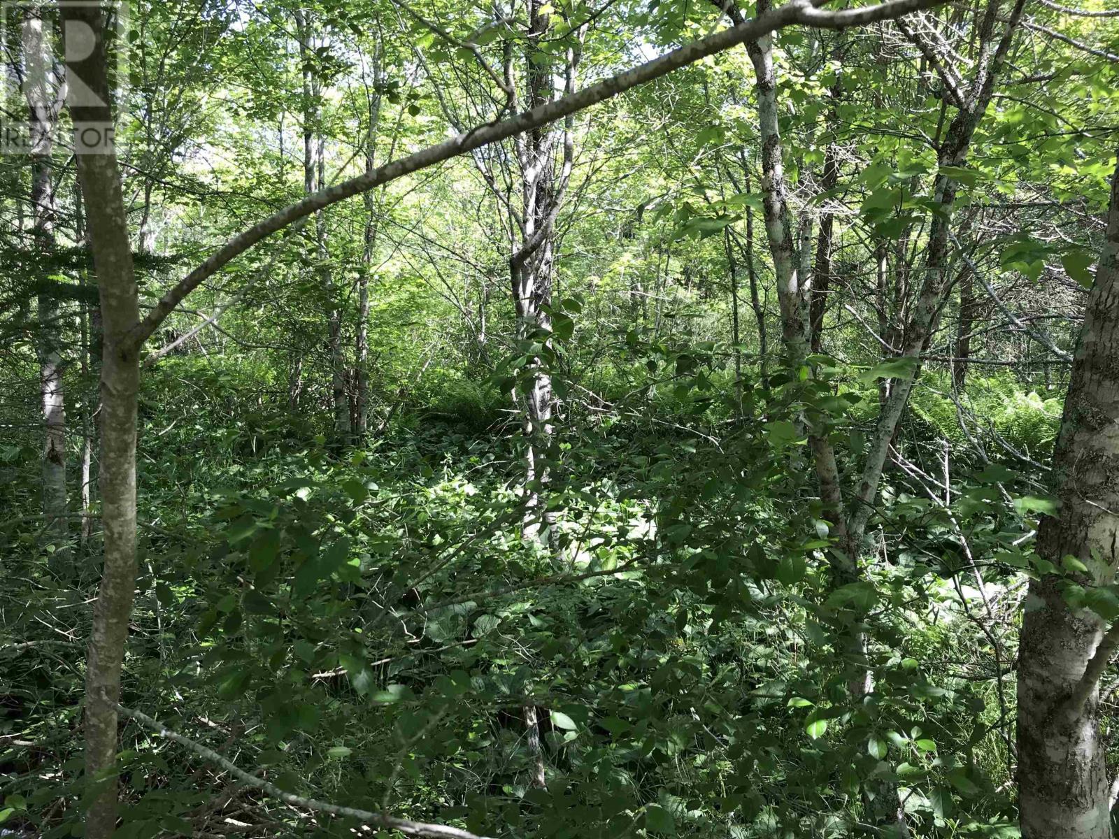 For sale 0 Highway 308, Tusket, Nova Scotia B0W3M0 202312604