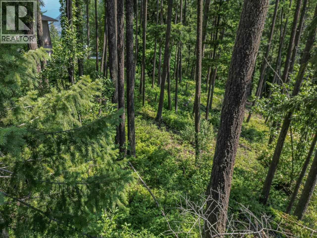 For sale Lot 25 Forest View Place,, Blind Bay, British Columbia V0E1H1 10278634 REALTOR.ca