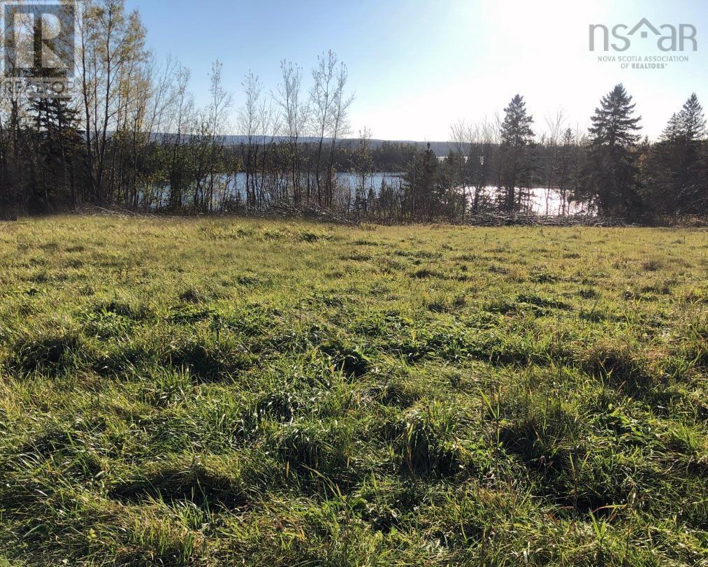 For sale 803 OrangedaleIona Road, Gillis Cove, Nova Scotia B0E2K0