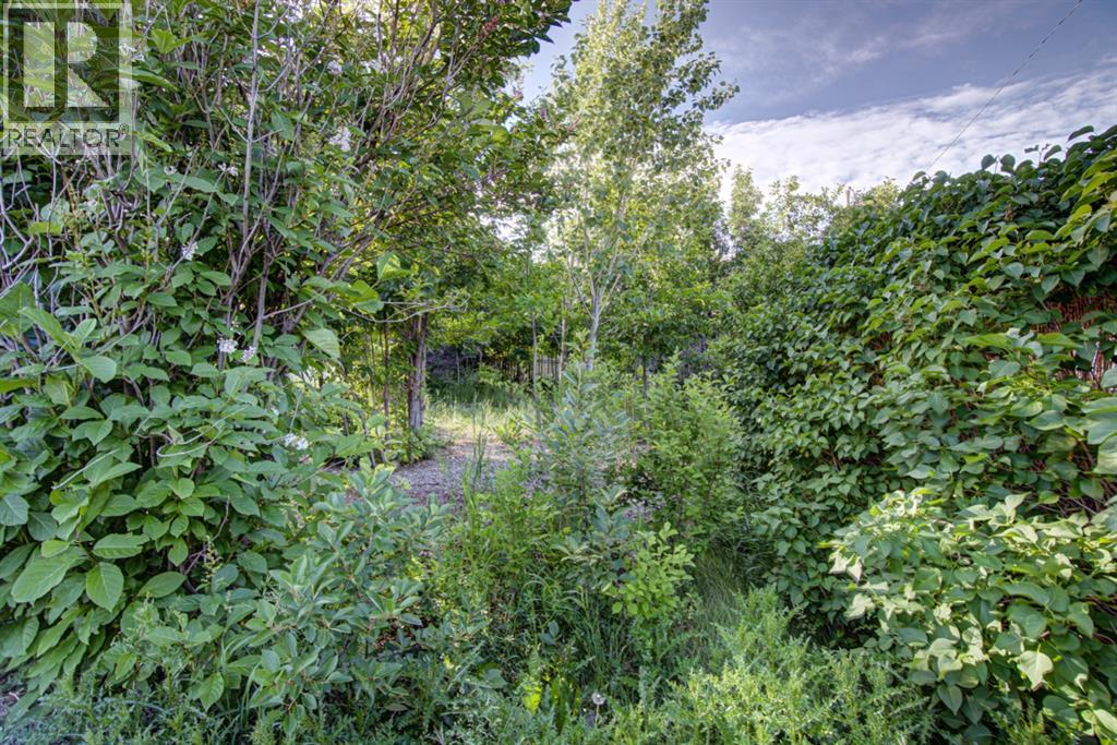 For sale 317 Dufferin Street, Granum, Alberta T0L1A0 A1234121