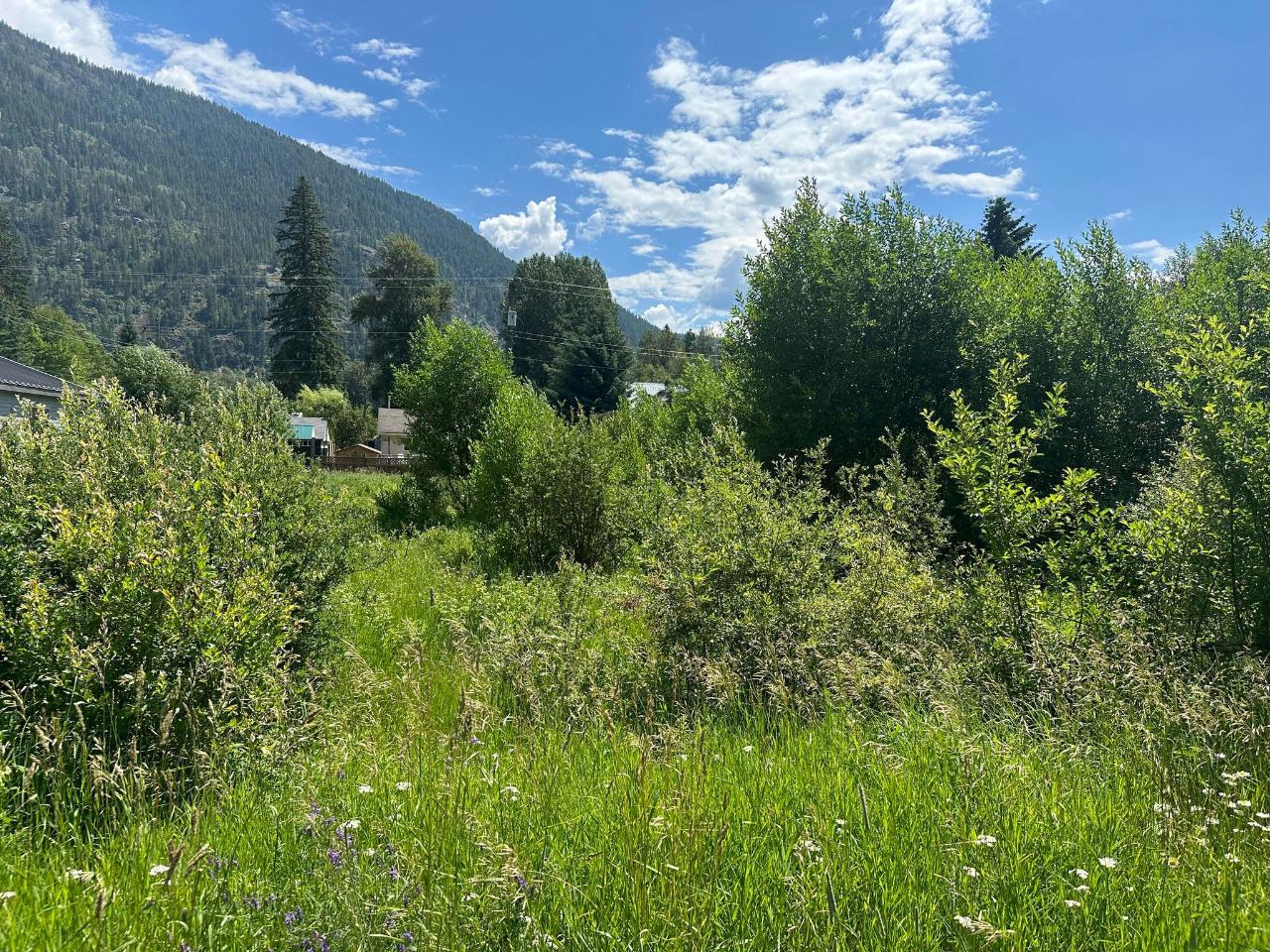 For sale Parcel F RAILWAY AVENUE, Salmo, British Columbia V0G1Z0