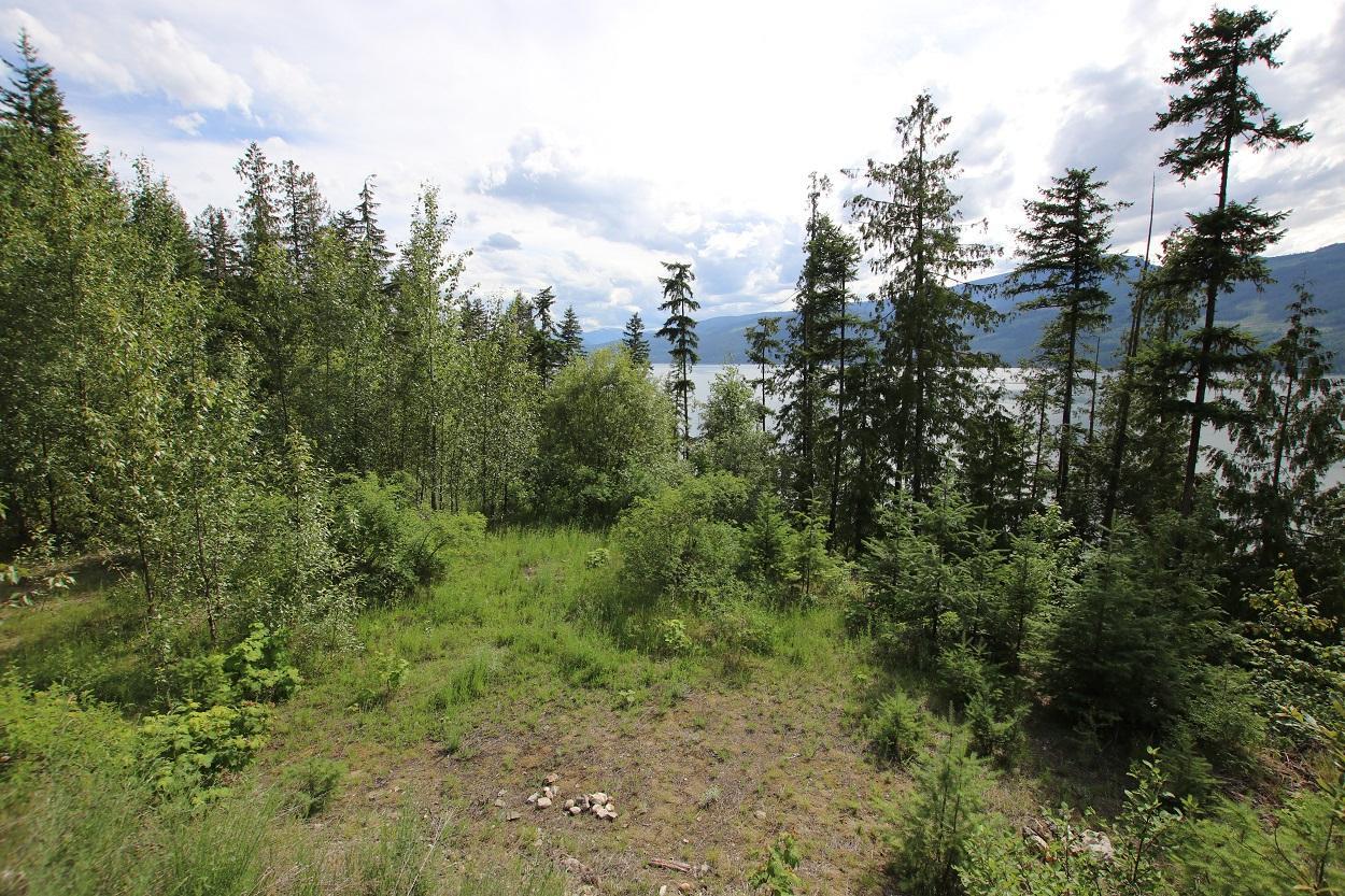 For sale 5959 HIGHWAY 23, Nakusp, British Columbia V0G1R1 2471622